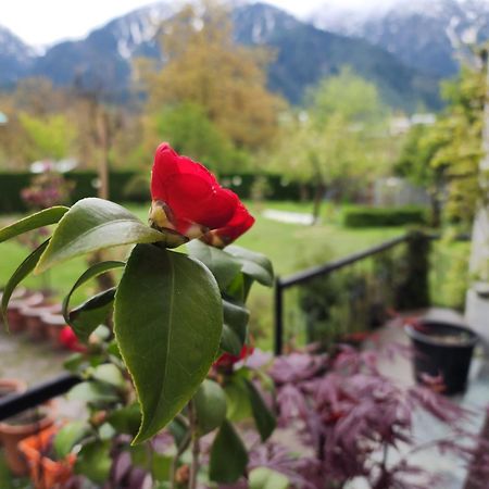 Premier Pahalgam Hotell Eksteriør bilde