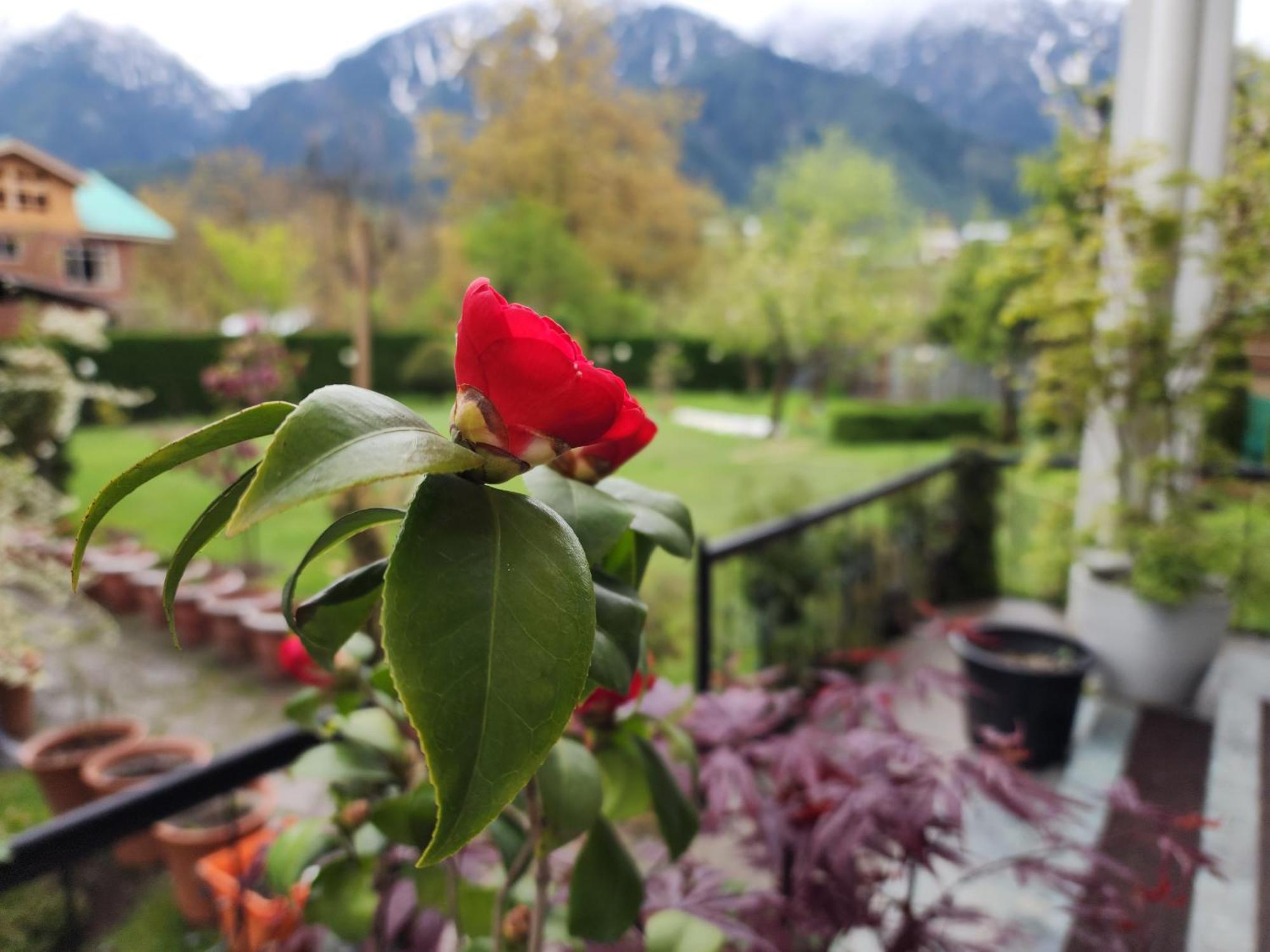 Premier Pahalgam Hotell Eksteriør bilde